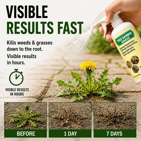 🔥Last Day Promotion 50% OFF🔥2026 SALE Fast-Acting Natural Weed & Grass Killer Spray✨