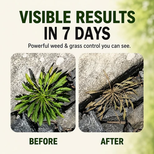🔥Last Day Promotion 50% OFF🔥2026 SALE Fast-Acting Natural Weed & Grass Killer Spray✨