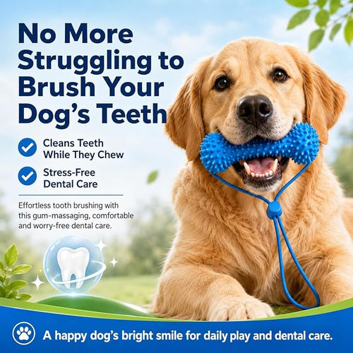 Dog Dental Chew Toy – Cleans Teeth & Helps Remove Plaque （Buy 1 get 2 free dog brushes）