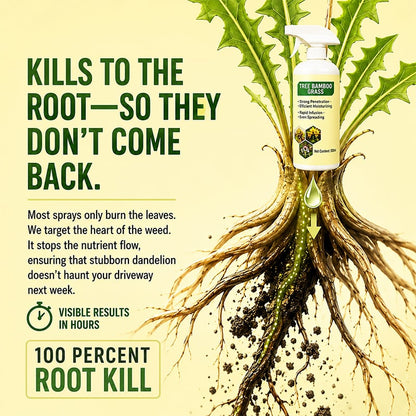 🔥Last Day Promotion 50% OFF🔥2026 SALE Fast-Acting Natural Weed & Grass Killer Spray✨
